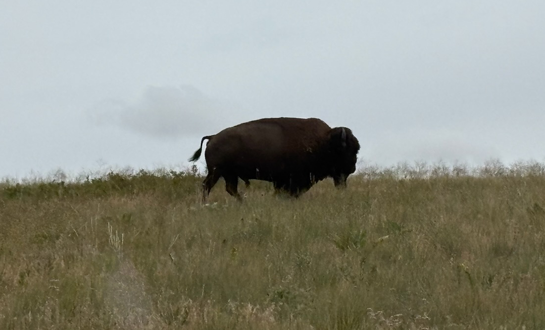 I admit I'm not much of a wildlife photographer